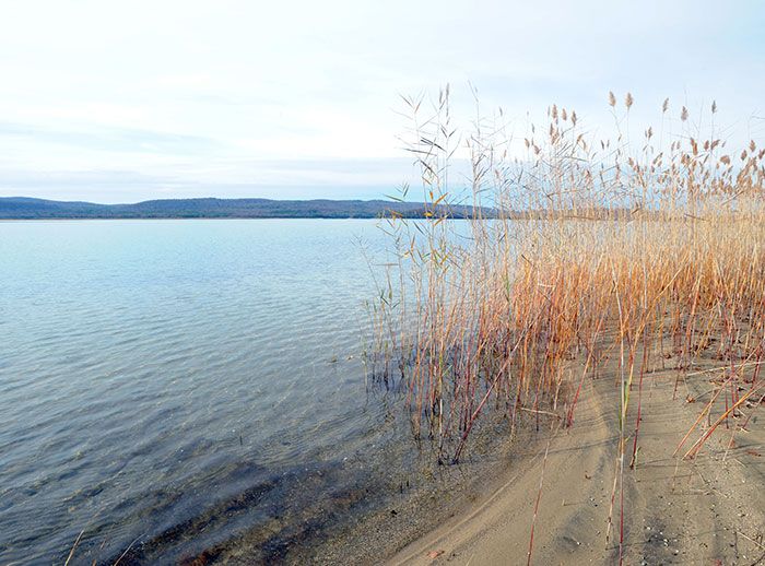 The Quabbin Reservoir is a popular spot to visit in Western MA.