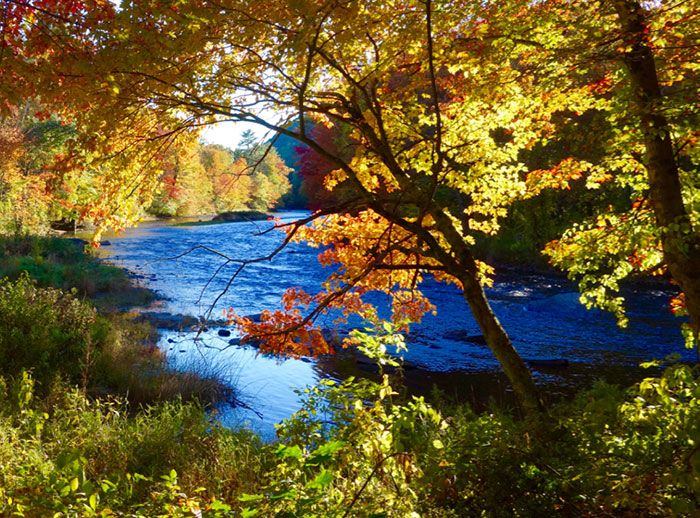 River rafting and boating on Millers River is incredible in Western MA.